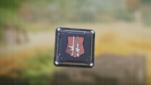Red Perk OVERKILL PERK CODM