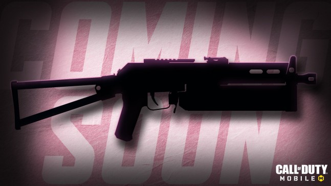 PP19 Bizon