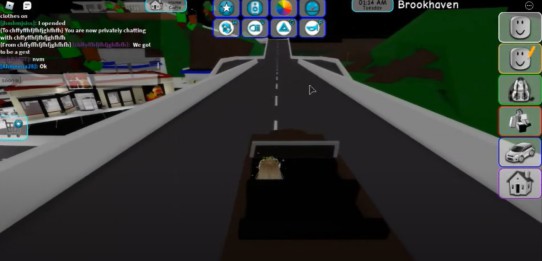 brookhaven roblox free play