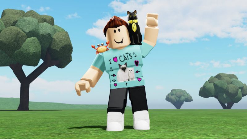 Top 20 Famous Roblox Players Youtube