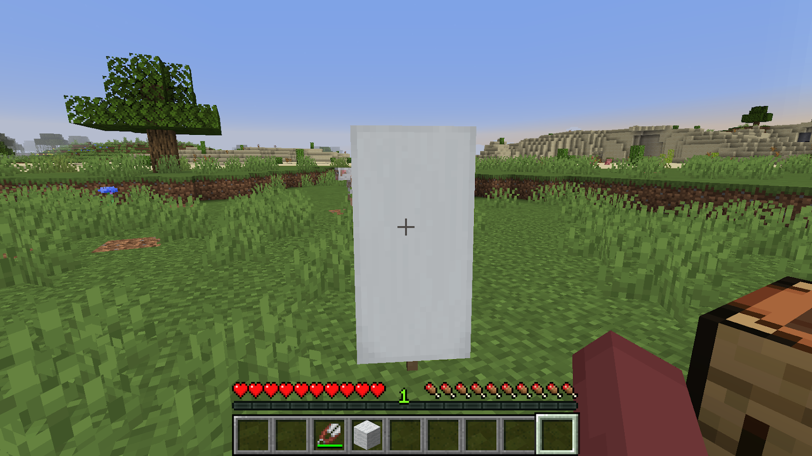 Curtain in Minecraft 2