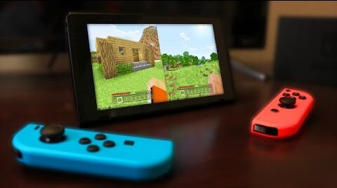 play 2-player on Minecraft Nintendo Switch (2)