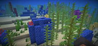 How to pick up Coral in Minecraft
