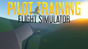 Pilot Training