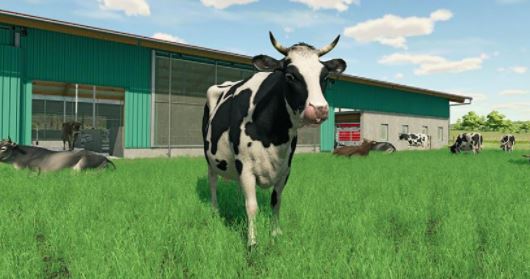 How to sell cows in Farming Simulator 22