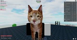 How to get Cat in Combat Warriors: Roblox