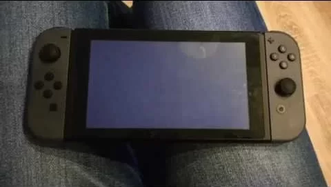 Nintendo Switch black screen of death