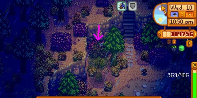 Stuck in bush Stardew Valley Expanded