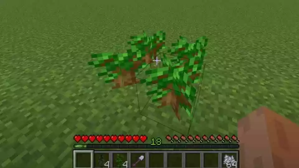 Dark Oak sapling not growing in Minecraft