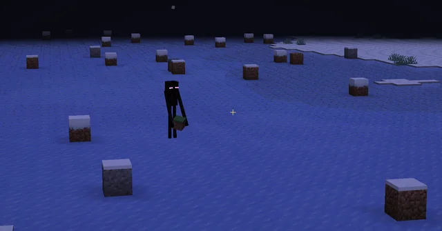 Why do Endermen keep placing blocks on ice on our survival world