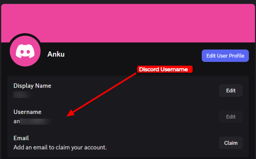 Discord Username