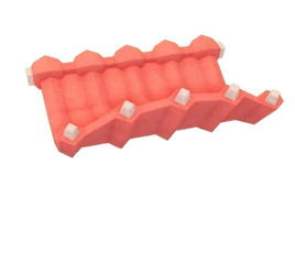 Ribs_Uncooked