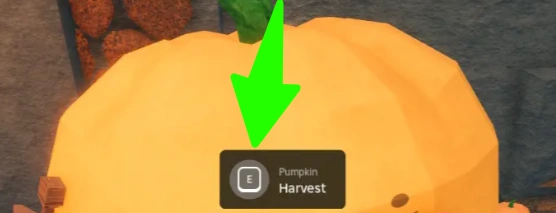 harvest pumpkin fisch