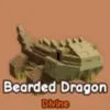 Bearded-Dragon