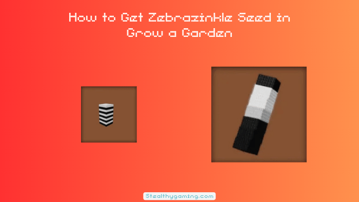 How to Get Zebrazinkle Seed in Grow a Garden