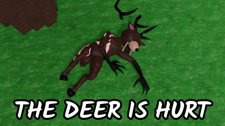 THE DEER IS HURT 99 nights in the forest