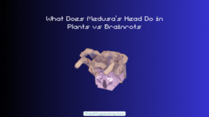 What Does Medusa’s Head Do in Plants vs Brainrots