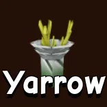 Yarrow-seed-GAG