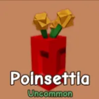 Poinsettia