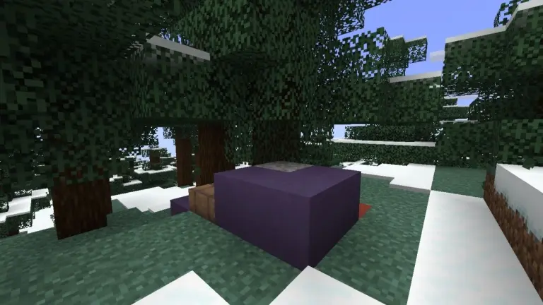 Trail-Ruins-for-Archaeology